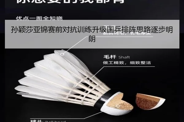 孙颖莎亚锦赛前对抗训练升级国乒排阵思路逐步明朗